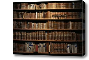 Картина Книжные полки